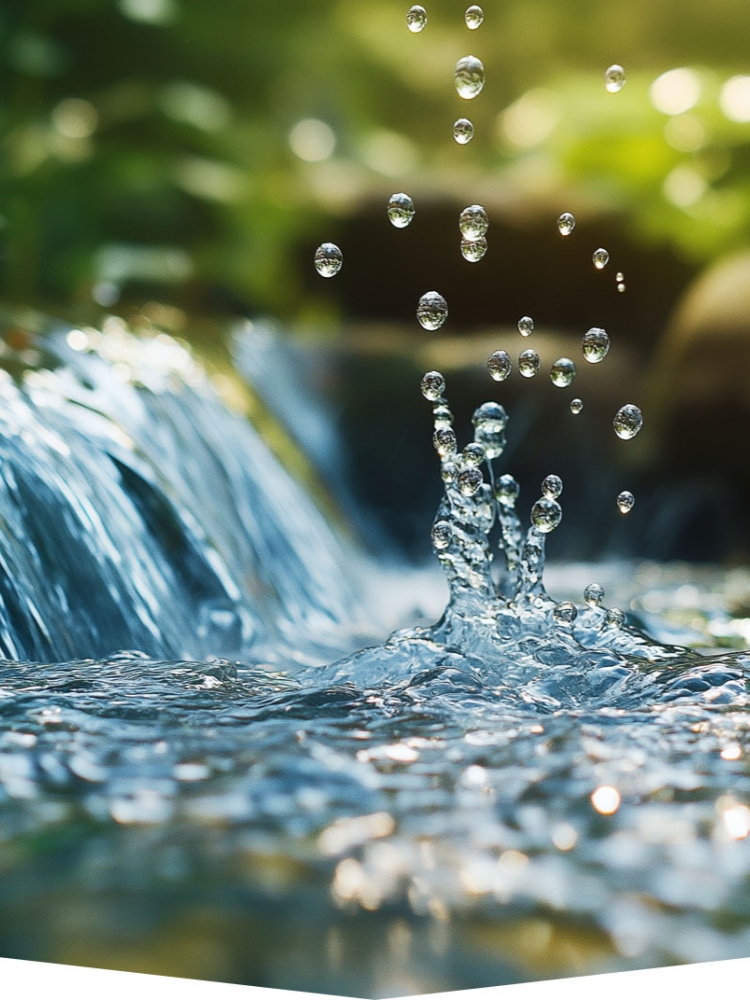 IN HIDDEN STREAMS